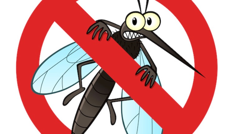 dezinsekcija komaraca